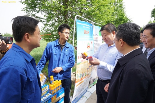 ������ʱ-�������ǲ�!