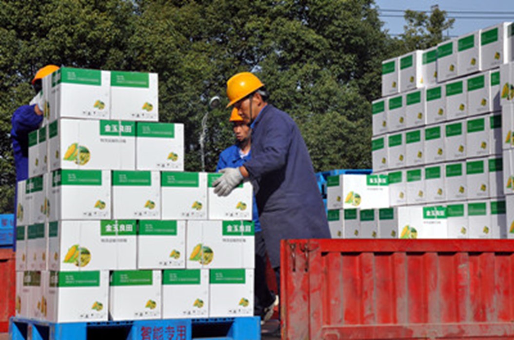 ������ʱ-�������ǲ�!